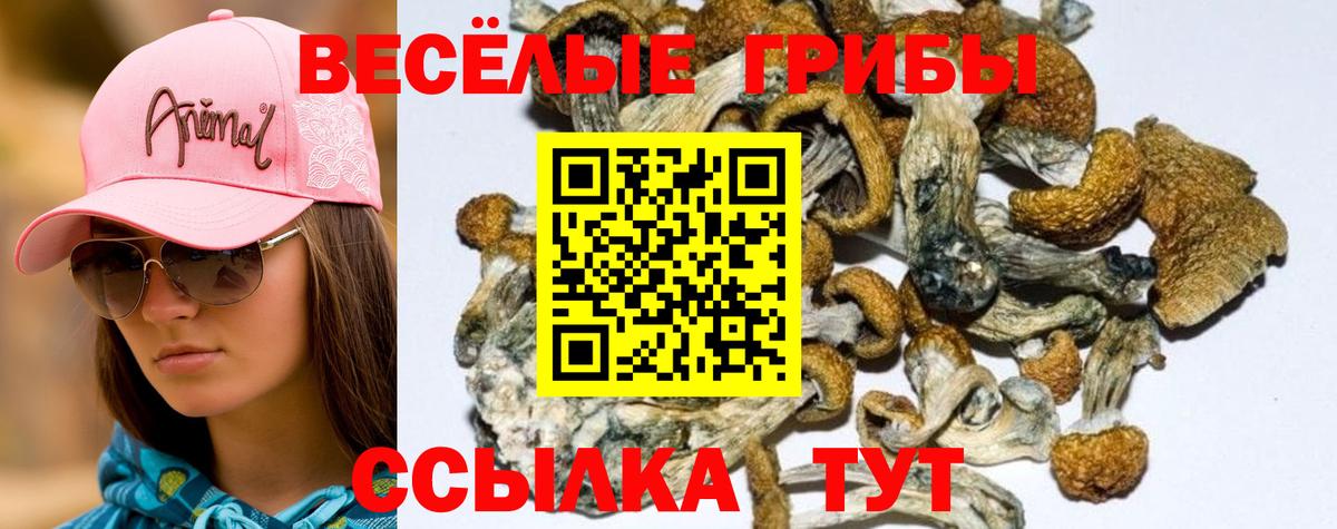Псилоцибиновые грибы мухоморы  Вход с VPN  Новошахтинск 